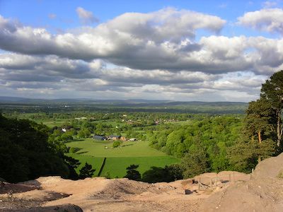 Alderley Edge Dog Walking Image