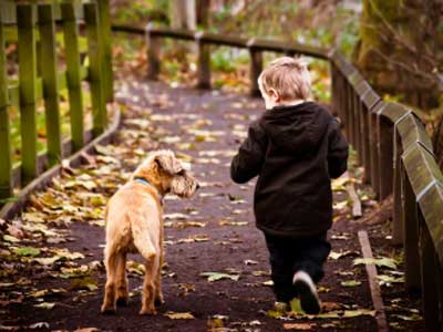 Child Walking A Dog In Cheshire Image