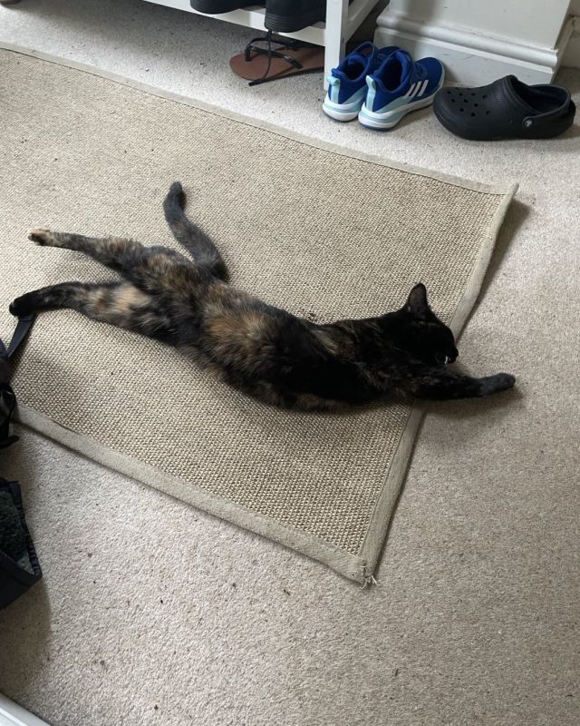 Mabel xx